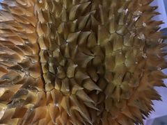 -乐乐鲜果水果超市(河北店)