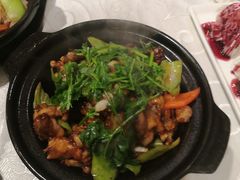 生喱牛蛙煲-粤秀小厨·广式早茶(辽宁路店)