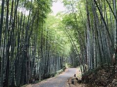 -旺山·浪头人家