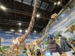 -自贡恐龙博物馆