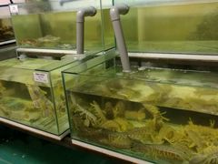 -ZF Seafood Restaurant 卓峰海鲜餐