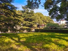 -上海财经大学(国定路校区)