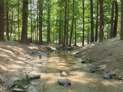 -白水寺森林公园