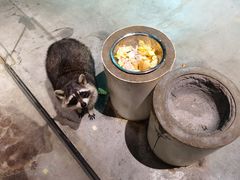 -zoonana室内动物园(东方福来德店)