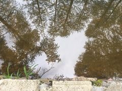 -四明山国家森林公园