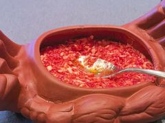 -羲和雅苑•北京烤鸭(平安国际金融中心店)