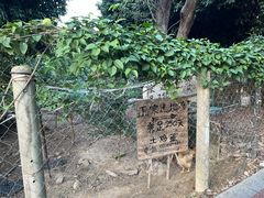 -风云岭森林公园