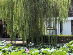 -柯岩风景区
