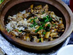 -红星光发煲仔饭(大石街店)
