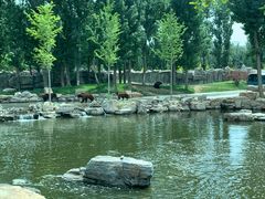 -北京野生动物园