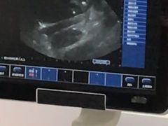 -美联众合爱康动物医院•复杂内科•肿瘤科•牙科•腔镜诊疗中心
