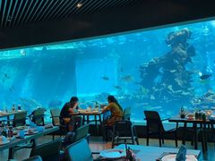 -海棠湾洲际-涛·海底餐厅·美人鱼·自助餐·海底隧道