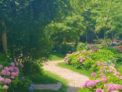 -上海共青森林公园