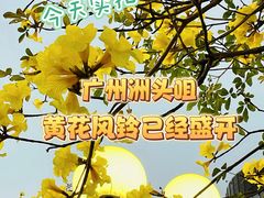 -洲头咀公园