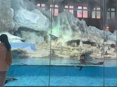 -帝企鹅自助餐厅•儿童岛•真企鹅(长隆企鹅酒店)