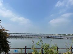 -鹅湖玫瑰文化园