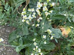 -中国天府农业博览园