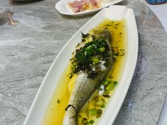 -老绍兴养和饭店(向阳不夜城店)