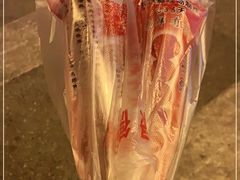 -和禄德冰糖葫芦