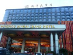 正面，还是蛮大的~-温州龙湾国际机场温德姆酒店