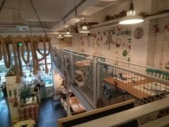 -Kitchen·Y洋厨房西餐厅(王府壹号店)