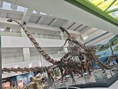 -中国地质大学图书馆