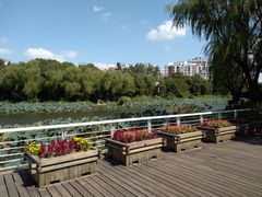 -新江湾城公园