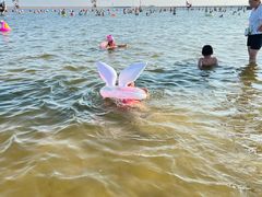 -碧海金沙
