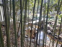 -秋霞圃