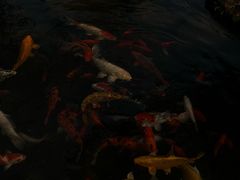 -中国茶叶博物馆(双峰馆区)
