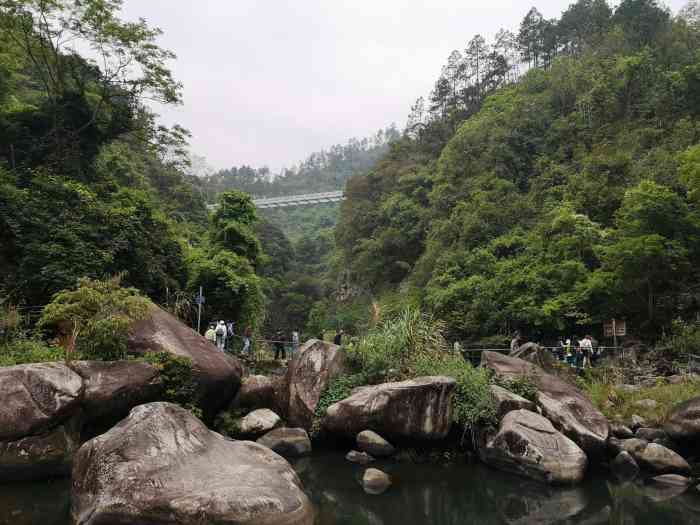 厦门野山谷景点图片