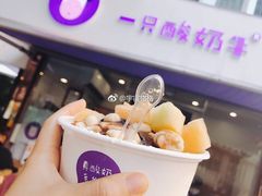 -一只酸奶牛(八一路店)