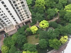 -新湖明珠城