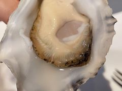 吉拉朵-Oyster Talks 四度蚝法餐厅