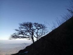 android_upload_pic-萍乡武功山风景名胜区