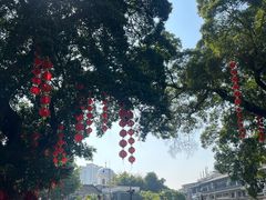 -凌记(泮塘路店)