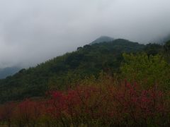 -福清灵石山国家森林公园