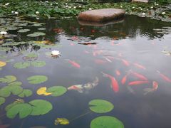 -白马涧龙池景区