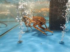 -麦德龙(郑东店)