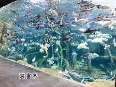 -哈尔滨波塞冬海底世界
