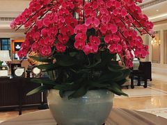 -福建鲤鱼洲酒店