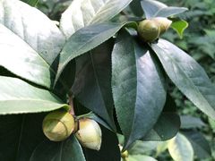 -昆明市金殿名胜区