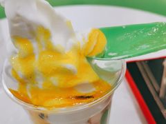 -Salud撒露欧洲冻酸奶(五道口购物中心店)