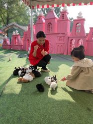 -萌宠亲子动物乐园(槐房万达店)