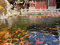 -下海庙