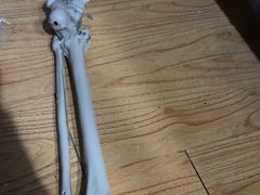 -失落之城密室逃脱沉浸剧场(江北龙湖星火路店)