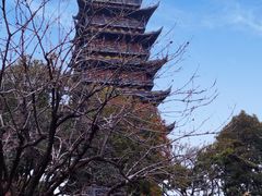 -常熟方塔园