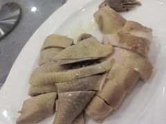 -姚林轩