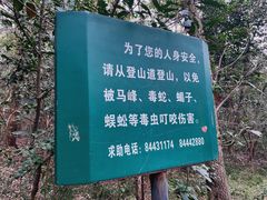 -紫金山山顶公园