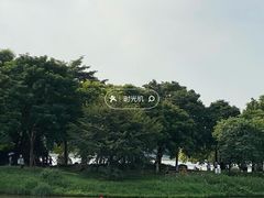 -海珠湖公园